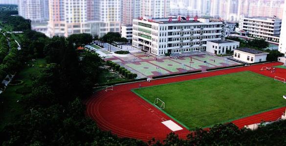 学校选择政策可能会影响公立学校的隔离和多样性