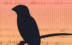 Songbird数据为学习感觉运动技能提供了新的理论