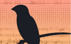 Songbird数据为学习感觉运动技能提供了新的理论