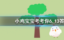 今天蚂蚁庄园问答：为什么猫咪能像液体一样缩在小盒子里
