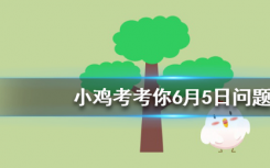 今天蚂蚁庄园问答：实际上生活中的兔子更喜欢以下哪种食物