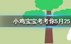 今天蚂蚁庄园问答：夏天给狗狗剃光毛，有助于让狗狗降温吗