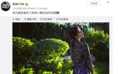 黄磊拍的孙莉网友在线吃瓜