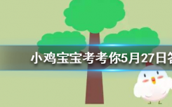 今天蚂蚁庄园问答：我们的身份证其实哪面才是正面