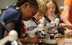 免费的STEM强化计划可让学生扮演化学家的角色