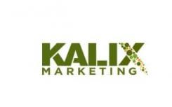 Kalix Marketing扩大了其全国影响力