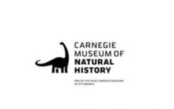 卡内基自然历史博物馆与TikTok合作制作教育视频