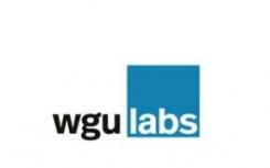 WGU Labs获得了针对服务不足学生的研究不平等的赠款