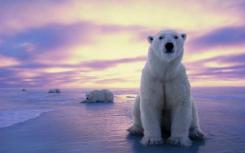 了解制冰潜艇如何帮助重新冻结北极