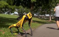 用于在新加坡公园实施社交疏离的四足机器人狗