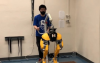 机器人自学了如何使用AI走路强化学习