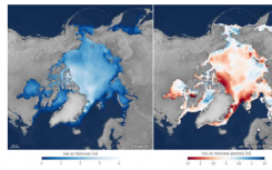 北极海冰屈服于大西洋化