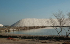 草本沼泽植被地上生物量与空间分布格局