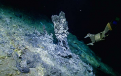 研究检查了深海微生物捕食者在热液喷口中的作用