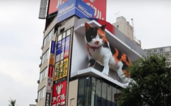 这个巨大的3D猫广告牌是如此逼真你会想去亲眼看看