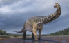 澳大利亚古生物学家发现巨型新恐龙并将其命名为Cooper
