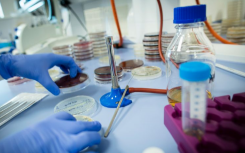 开拓性制药公司最近搬到普利茅斯科学园