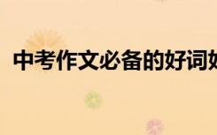 中考作文必备的好词好句好段作文素材精选