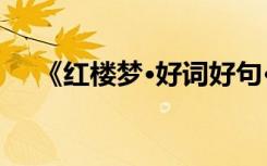 《红楼梦·好词好句·中考必备作文素材》
