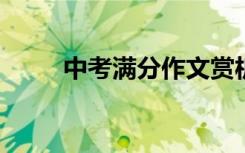 中考满分作文赏析及精彩段落精选