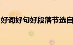 好词好句好段落节选自大全中考满分作文选材