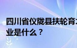 四川省仪陇县扶轮育才职业中学招生计划和专业是什么？