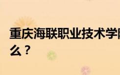 重庆海联职业技术学院的招生计划和专业是什么？