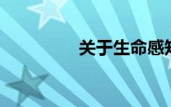 关于生命感知的作文题目