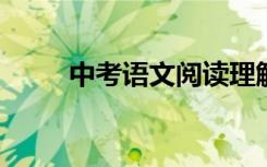 中考语文阅读理解答题技巧和方法