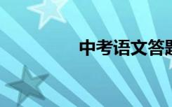 中考语文答题技巧与套路