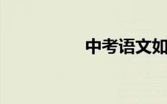 中考语文如何取得高分