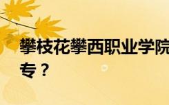 攀枝花攀西职业学院是公办还是民办 还是中专？