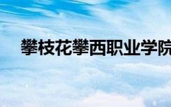 攀枝花攀西职业学院的王牌专业是什么？