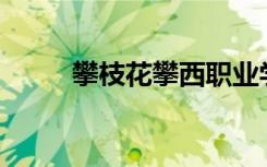 攀枝花攀西职业学院环境怎么样？