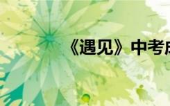 《遇见》中考成绩600字左右