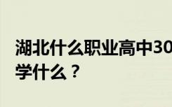 湖北什么职业高中300分能上？职业高中应该学什么？