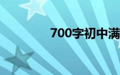 700字初中满分作文论青春