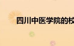 四川中医学院的校风和环境怎么样？