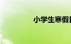 小学生寒假日记怎么写？