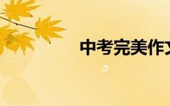 中考完美作文精选700字