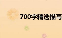 700字精选描写夏天的完美作文