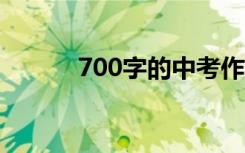 700字的中考作文描写夏日风光