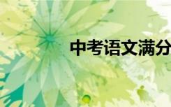中考语文满分作文范文节选