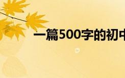 一篇500字的初中生成长满分作文