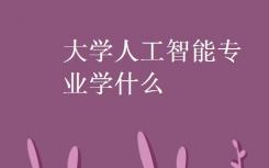 你在大学主修人工智能什么？