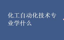 你主修化学自动化技术？