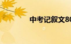 中考记叙文800字满分作文