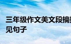 三年级作文美文段摘抄满文作文开头和结尾常见句子