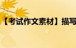 【考试作文素材】描写春天的好词好句好段落