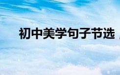 初中美学句子节选；语文作文高分必备